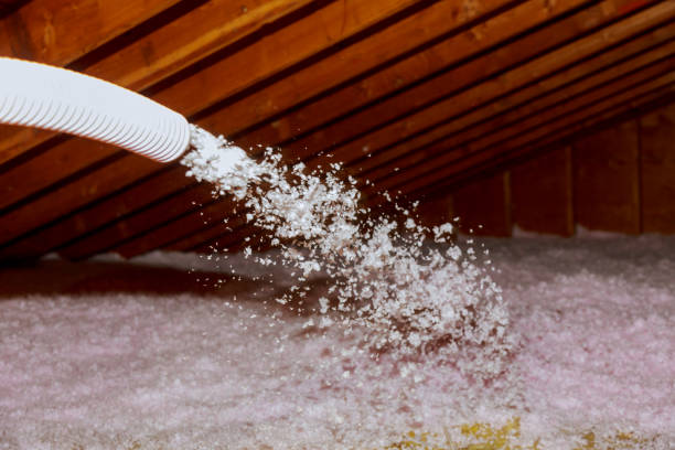 Best Insulation Replacement Services  in Great Neck Estates, NY